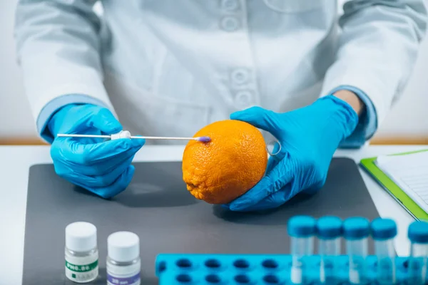 Técnico Laboratorio Seguridad Alimentaria Examinando Frutas Cítricas Naranja Para Detectar — Foto de Stock