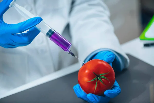 Genetically Modified Food Scientist Laboratory Injecting Chemicals Red Tomato Further — Stock Photo, Image