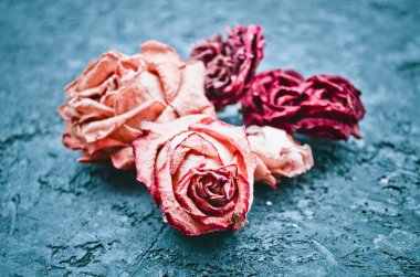 Makro fotoğraf siyah bir beton yüzeyi kuru kırmızı gül tomurcukları.