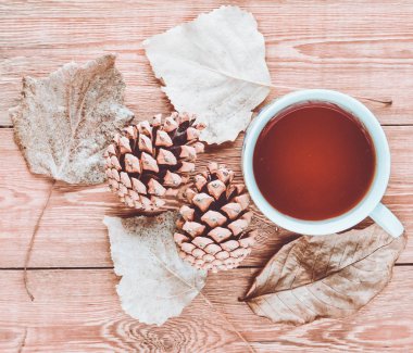 Bir fincan çay, çam kozalakları, ahşap bir masa üzerinde düşen yapraklar bir beyaz. Sonbahar Kış natürmort.