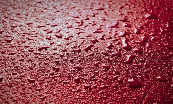 Red leather surface in droplets of water.