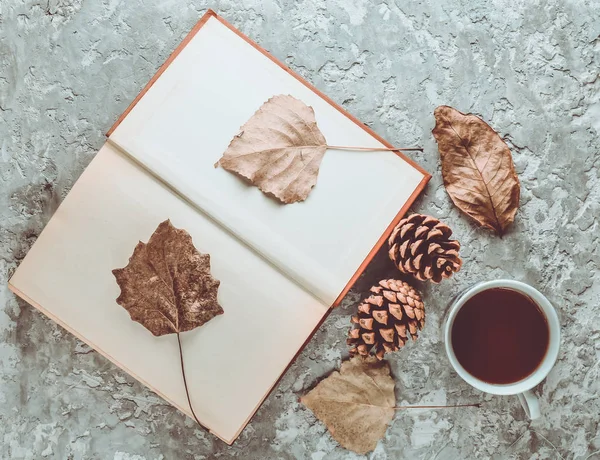 Tea when reading a book. Tea, a book, fallen leaves, bumps on a concrete table. Autumn winter atmosphere for reading a new story. Herbarium from dried leaves. Top view. Flat lay.