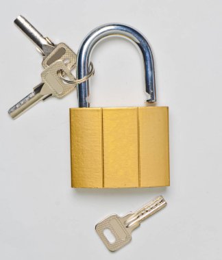 Açık bir kale ve gri bir arka plan üzerinde izole tuşları yaldızlı. Ev muhafaza--dan hırsızlık.