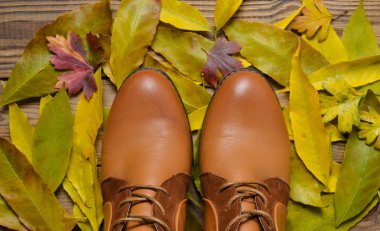 Kadınlar boots kahverengi deri sarı düşen yapraklar arka planı.