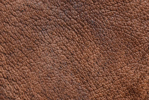 Barna Bőr Textúra Pórusokat — Stock Fotó