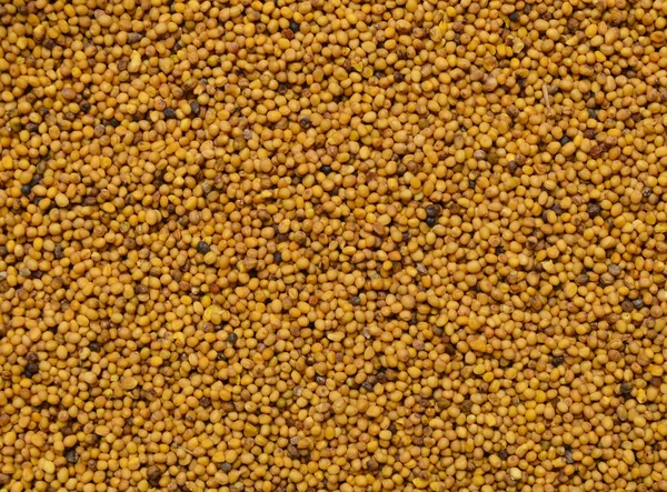 Background Mustard Seeds — Stock Photo, Image