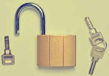 Açık bir kale ve gri bir arka plan üzerinde izole tuşları yaldızlı. Ev muhafaza--dan hırsızlık.