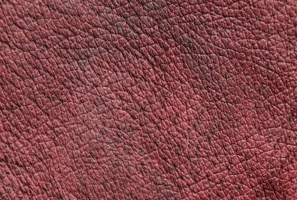 Texture Cuir Marron Avec Pores — Photo