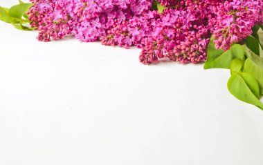 Beyaz bir arka plan üzerinde Mor Lila yalan buket. Kopya girintili