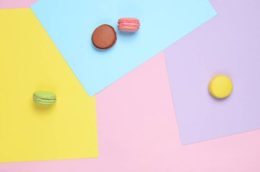 Pastel arka plan üzerinde renkli kurabiye kurabiye. Üstten görünüm. Minimalis