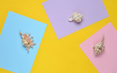 Kabukları renkli kağıt arka plan üzerinde. Üstten görünüm. Minimalizm. Kopya girintili