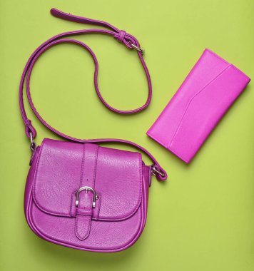 Kadın kırmızı deri çanta ve cüzdan pastel yeşil bir arka plan, Bayan aksesuarlar, üstten görünüm, minimalis