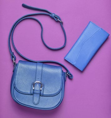 Kadın kırmızı deri çanta ve cüzdan pastel yeşil bir arka plan, Bayan aksesuarlar, üstten görünüm, minimalis