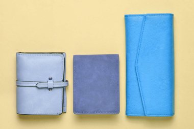 Bayan deri cüzdan pastel mavi bir arka plan, Bayan aksesuarlar, üstten görünüm, minimalis çeşitli