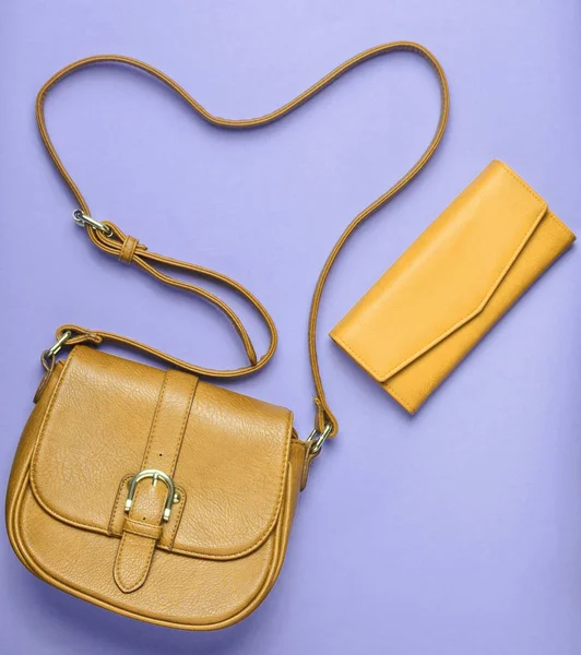 Kadın kırmızı deri çanta ve cüzdan pastel mavi bir arka plan, Bayan aksesuarlar, üstten görünüm, minimalis