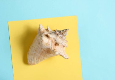 Mavi sarı bir arka plan üzerinde Seahell. Üstten Görünüm, minimalis