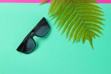 Fern yaprak, güneş gözlüğü üzerinde pastel arka plan mavi. Seyahat, turizm, beach resort kavramı. Yaz. Top Vie