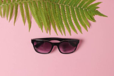 Fern yaprak, pastel arka plan üzerinde güneş gözlüğü pembe. Seyahat, turizm, beach resort kavramı. Yaz. Top Vie