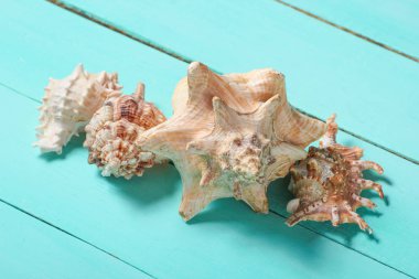 Kabukları üzerinde mavi bir ahşap adam