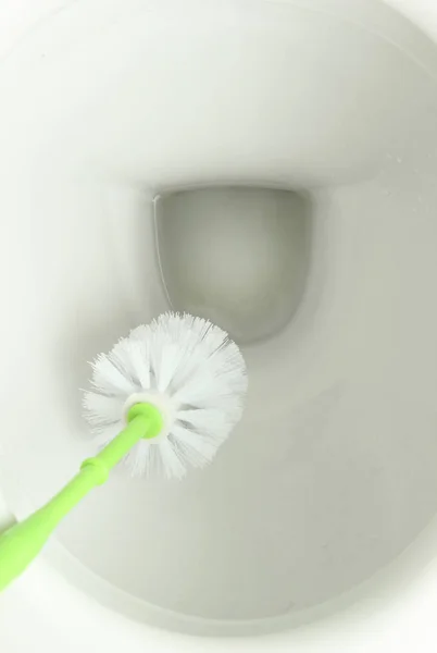 Ruff Cleaning Toilet Toilet Bow — Stock Photo, Image