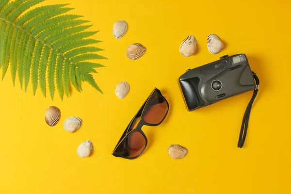 Retro Kamera Farnblatt Muscheln Sonnenbrille Auf Gelbem Pastellhintergrund Das Konzept — Stockfoto