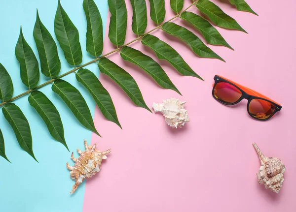 Liść Paproci Okulary Przeciwsłoneczne Muszle Kolorowym Tle Pastel Akcesoria Dla — Zdjęcie stockowe