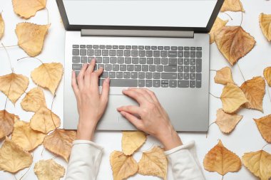 Eller düşmüş yaprakları ile beyaz bir arka planda bir dizüstü klavye üzerinde yazıyor. On-line iş, freelancing. En iyi Vie