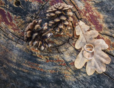 Nikah yüzükleri yakın. 