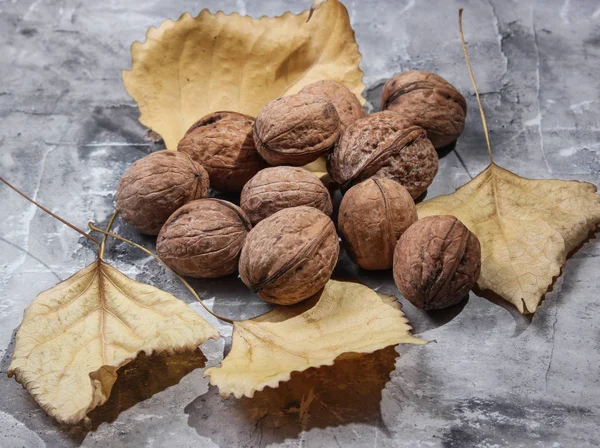 Nueces Hojas Caídas Otoño Sobre Fondo Gris Hormigón — Foto de Stock