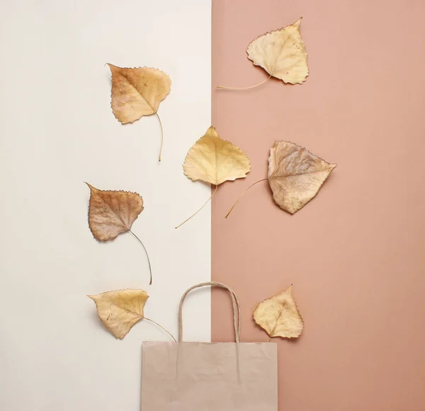 Paper bag for shopping, fallen autumn leaves on a beige brown background. Autumn shopping, sale, Top view, minimalism