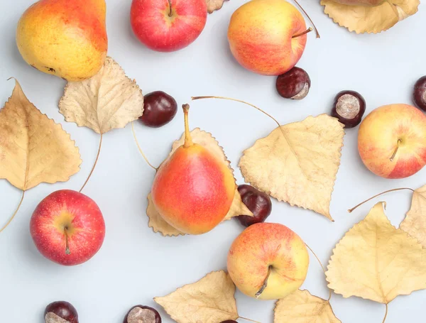 Automne Nature Morte Vue Dessus Pommes Poires Feuilles Tombées Châtaignes — Photo