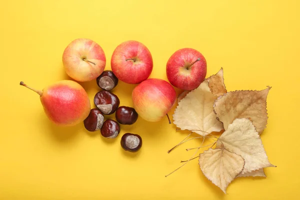 Automne Nature Morte Vue Dessus Pommes Poires Feuilles Tombées Châtaignes — Photo