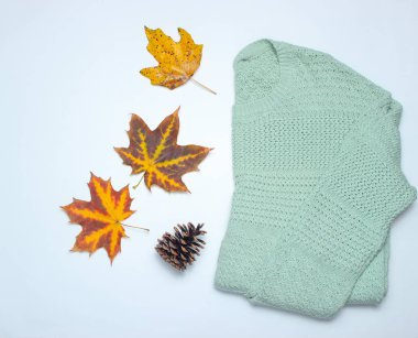 Sonbahar kış koleksiyonu. Kazak, düşmüş yapraklar, beyaz bir arka plan üzerinde iğne koni. Top vie