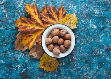 Bir mine kase ceviz, mavi beton arka plan üzerinde sarı yaprakları düştü. Sonbahar hasadı. Top vie