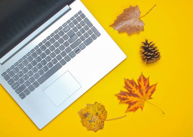 Sonbahar kış iş natürmort. Dizüstü bilgisayar, düşmüş yapraklar, sarı arka plan üzerine çam kozu. Üstte görüntü