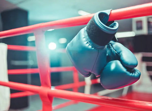 Par Guantes Boxeo Azul Cuelga Del Anillo —  Fotos de Stock