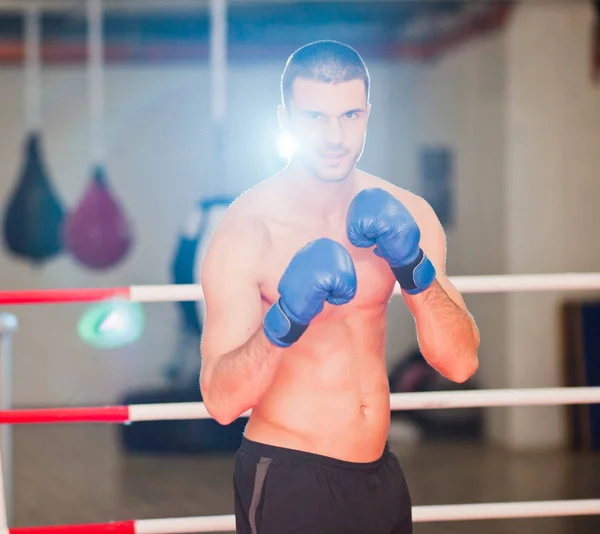 Retrato Boxeador Ring Boxeo Gimnasio —  Fotos de Stock