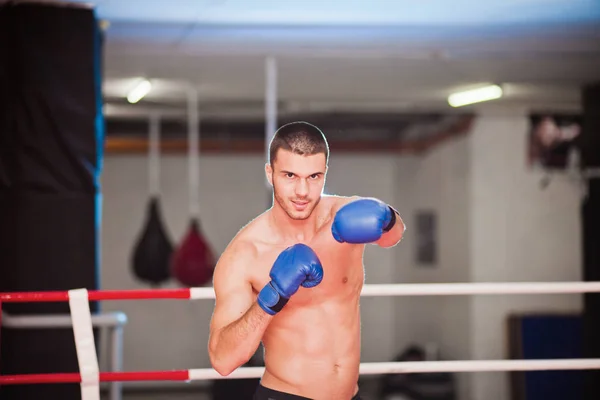 Porträt Eines Boxers Boxring Fitnessstudio — Stockfoto