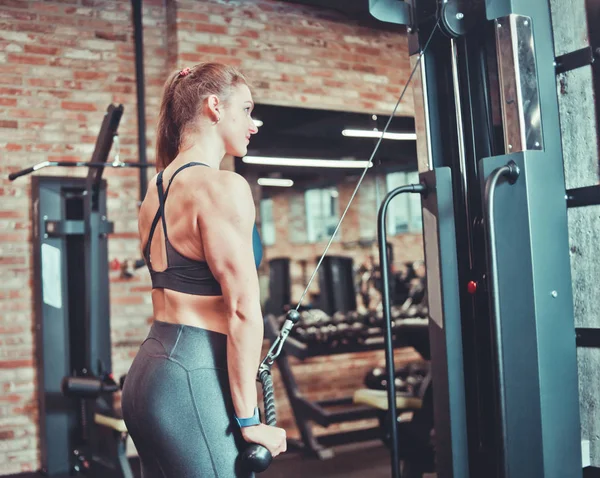 Fitness Joven Ropa Deportiva Con Cuerpo Perfecto Haciendo Tríceps Ejercicio — Foto de Stock