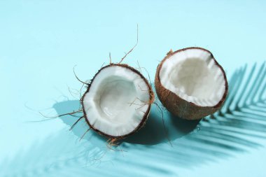 Minimalist tropikal natürmort. Mavi arka planda palmiye yapraklarının gölgeleriyle iki parça doğranmış hindistan cevizi. Yaratıcı moda kavramı.