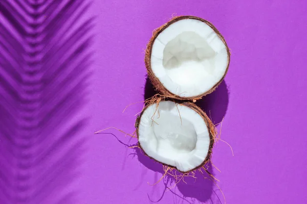 Minimalistic Tropical Still Life Two Halves Chopped Coconut Shadows Palm — Stock Photo, Image