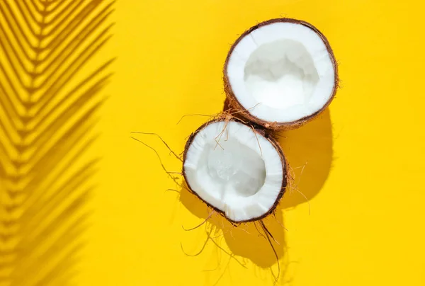 Minimalistic Tropical Still Life Two Halves Chopped Coconut Shadows Palm — Stock Photo, Image