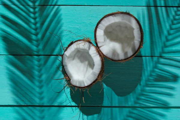 우림은 도살아 있습니다 코코넛 배경에 그림자와 놓았다 패션의 창조적 위에서 — 스톡 사진
