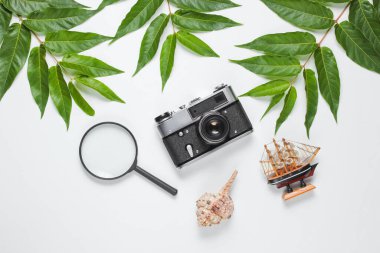 Retro tarzı seyahat hala hayattadır. Film kamerası, kabuklar, yeşil tropik yapraklar. Beyaz arka planda gezgin aksesuarları. Üst görünüm