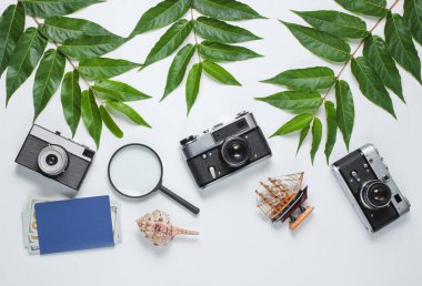 Retro tarzı seyahat hala hayattadır. Film kamerası, kabuklar, yeşil tropik yapraklar. Beyaz arka planda gezgin aksesuarları. Üst görünüm