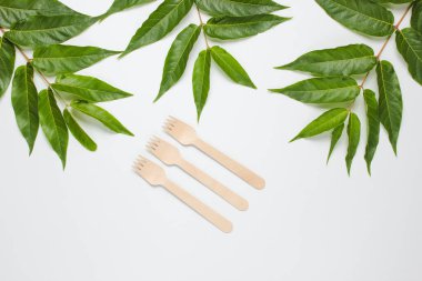 Çevre dostu sakin yaşam. Yeşil tropikal yapraklı, beyaz arka planda tek kullanımlık tahta çatallar. Doğal malzemelerden yapılmış çatal bıçak takımı.