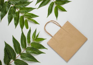 Düz yatış tarzı alışveriş meraklısı. Yeşil yaprakların arasında beyaz arkaplan üzerine eko kağıt poşet. Üst görünüm