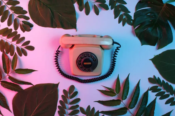 Fondo Estilo Retro Teléfono Rotativo Retro Entre Hojas Verdes Fondo — Foto de Stock