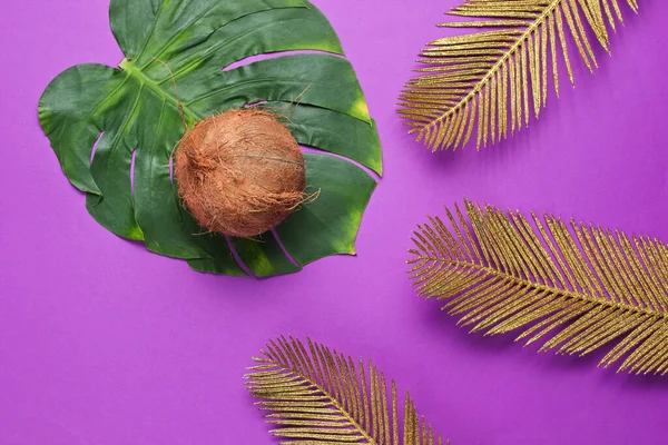 Vida Morta Tropical Minimalista Coco Com Monstera Folhas Palma Dourada — Fotografia de Stock