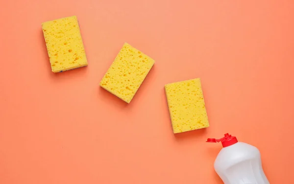 Conjunto Amas Casa Para Lavar Platos Lavavajillas Botella Utensilios Lavado — Foto de Stock